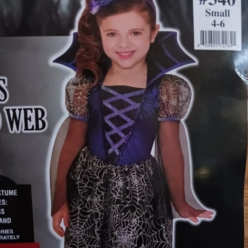 Miss Wicked Web Halloween Costume Child Size Small 4-6